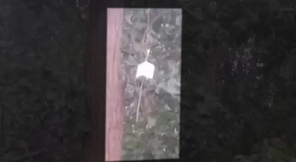 ISRO claims experimental device found hanging in Odisha tree