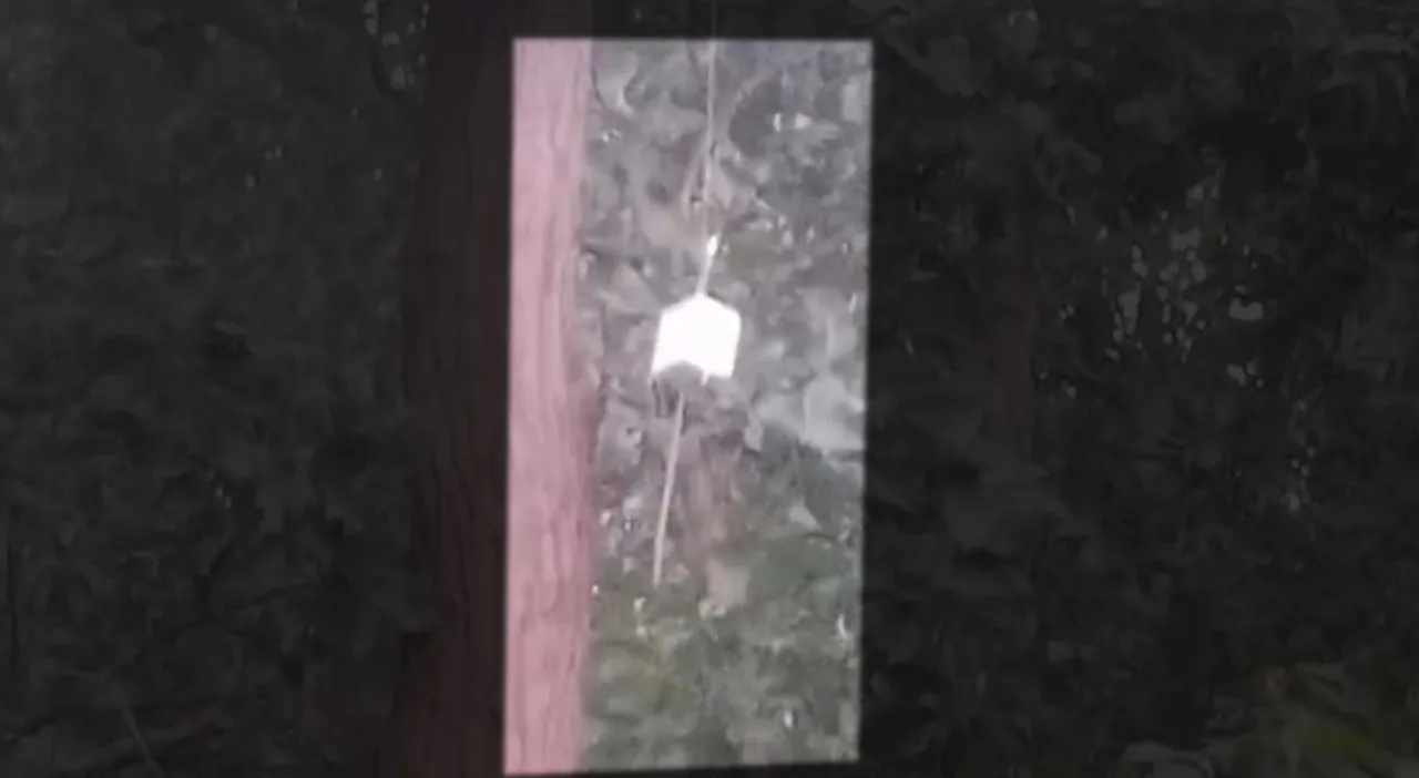 ISRO claims experimental device found hanging in Odisha tree