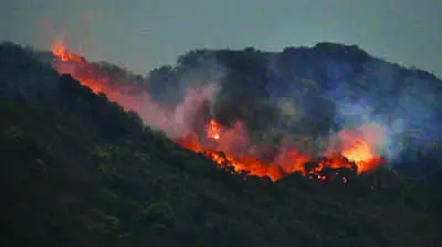 Goa forest dept prepares advisory, early warning system for fire threat