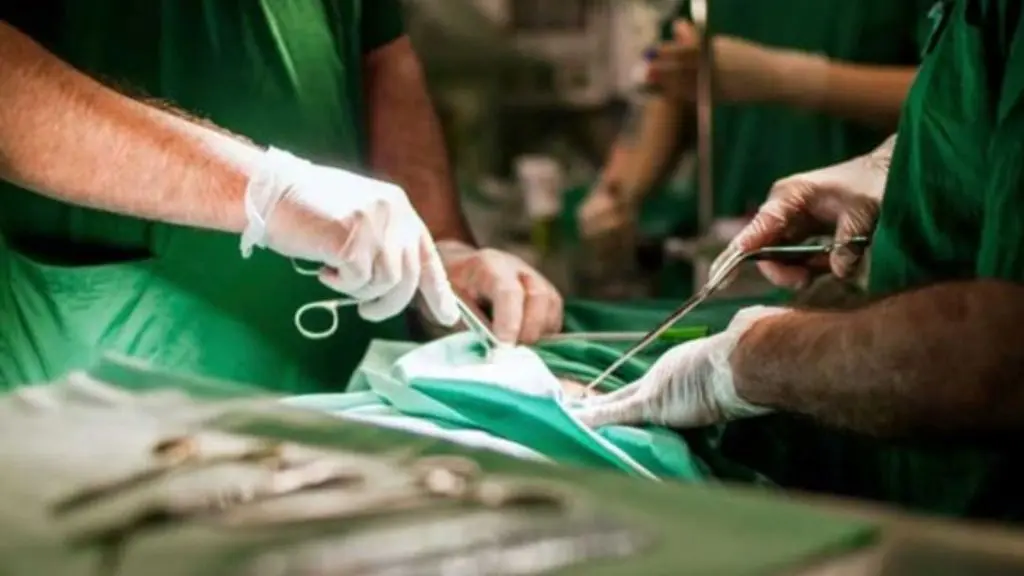 Siblings die in Pune accident, teen's organ donation saves three