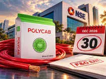NSE sets Dec 30 deadline for Polycab F&O exit, NCLAT stays insolvency