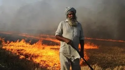 Punjab stubble fires cross 100 this season, topping last year's count
