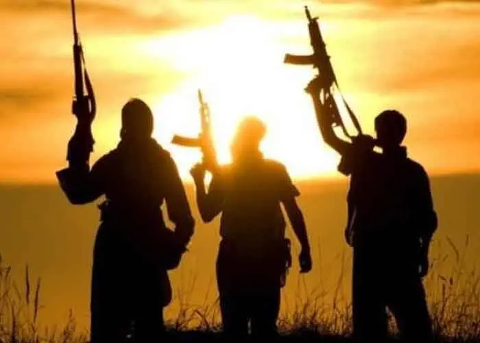 EU report questions Pakistan's 'good Taliban, bad Taliban' approach
