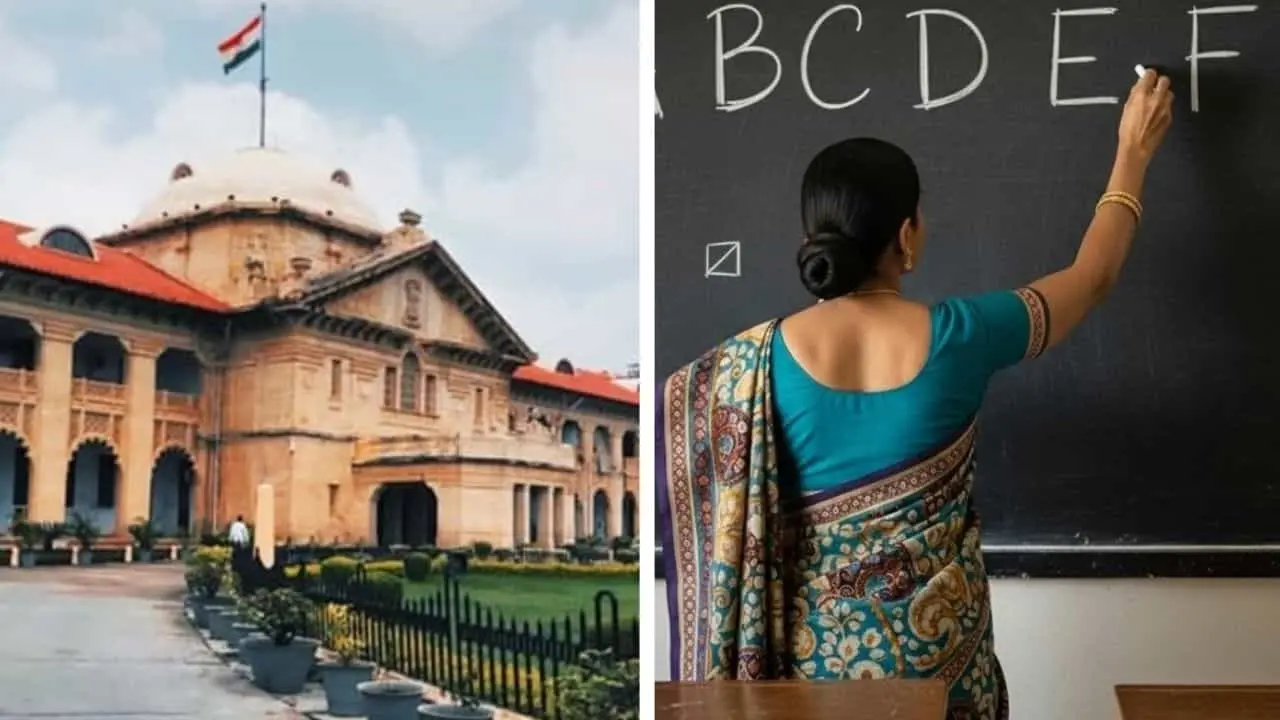 UP basic teachers’ certificates to be verified after HC order