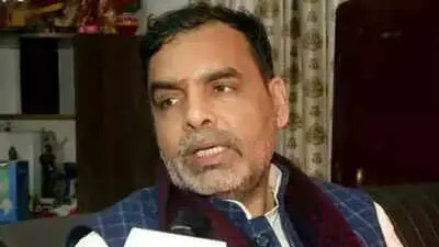 WFI chief blames US embassy for visas costing India gold medals