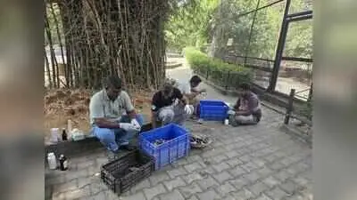 Vandalur Zoo shut for two days after H5N1 bird flu confirmed
