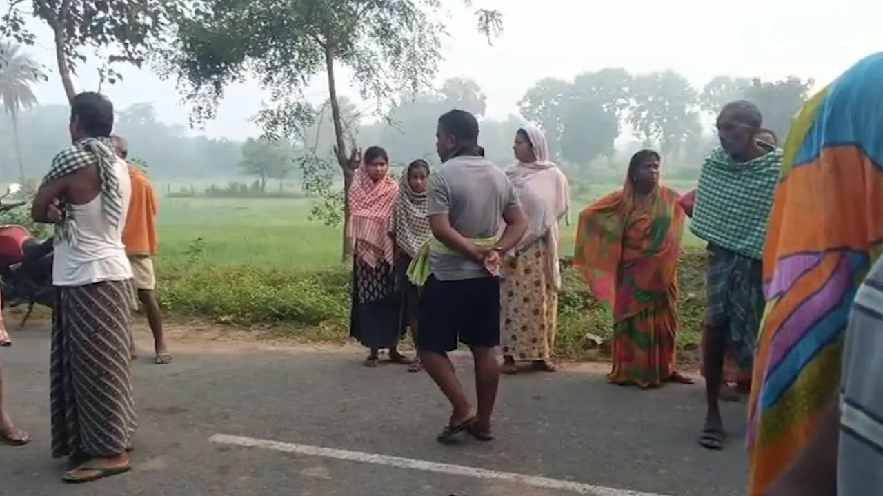 Wild boar attack critically injures youth in Odisha's Deogarh